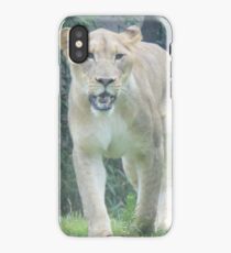 lioness on the hunt iPhone Case