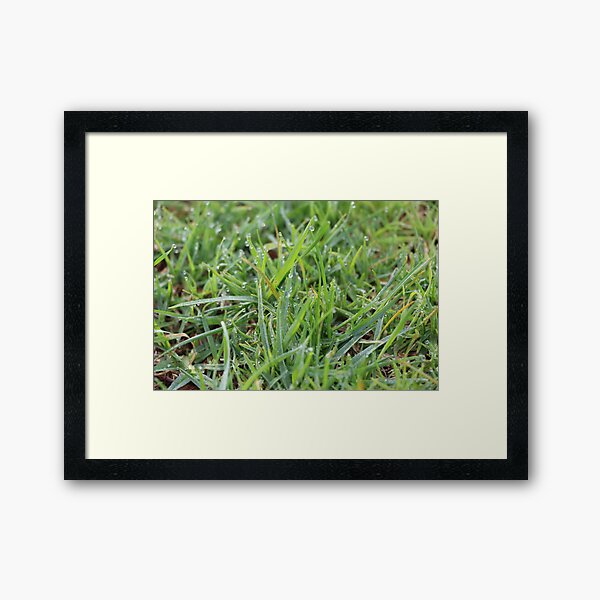Item preview, Grass designed and sold by chaymander.