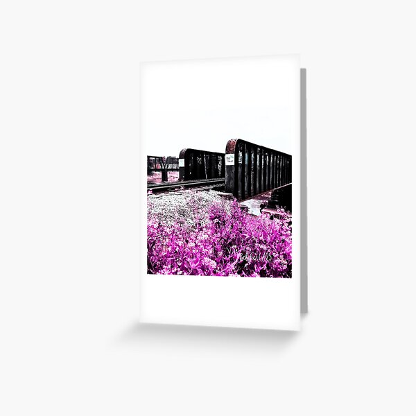 Item preview, "no trespassing" ~ original photography  designed and sold by BelskeDesigns.