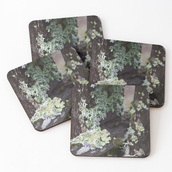 Item preview, Lichen on Fence, 2 designed and sold by Tracy Engle.