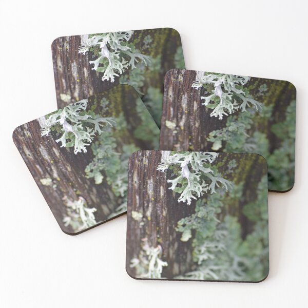 Item preview, Lichen designed and sold by Tracy Engle.