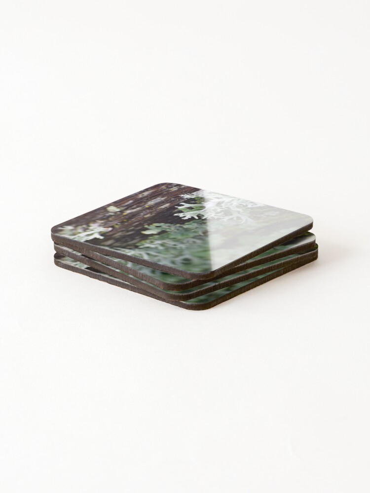 Thumbnail 4 of 5, Coasters (Set of 4), Lichen designed and sold by Reriginal.