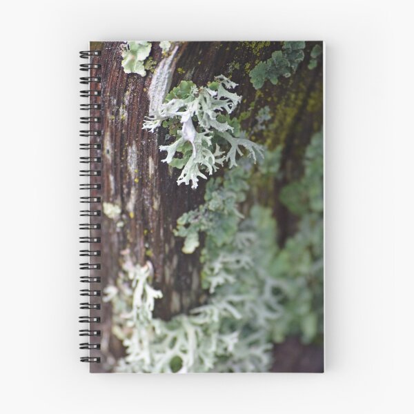 Item preview, Lichen designed and sold by Tracy Engle.