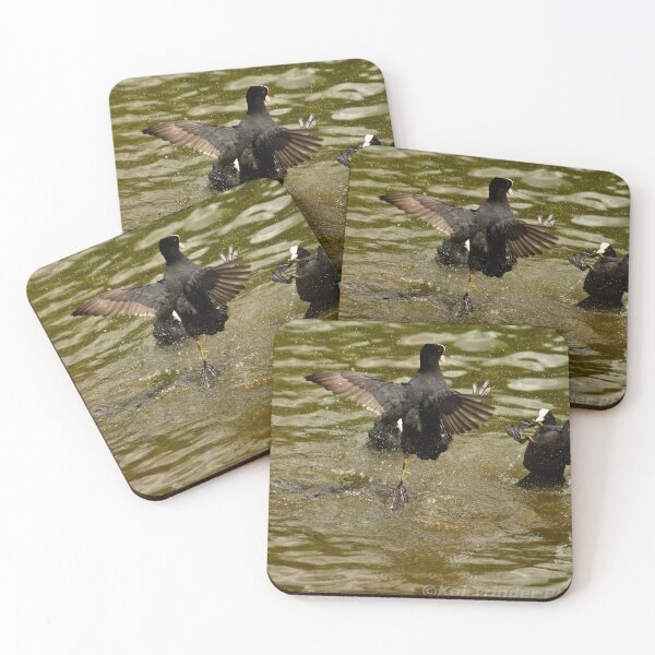 Item preview, Eurasian Coot Fight designed and sold by DigiDragon7.