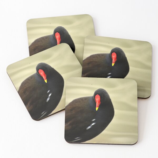 Item preview, Chilling Moorhen designed and sold by DigiDragon7.