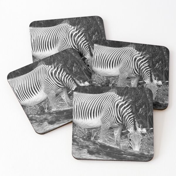 Artikelvorschau, Monochromes Zebra entworfen und verkauft von ShutterbugBttns.
