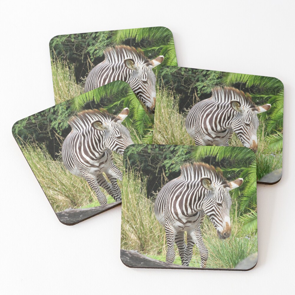 Item preview, Coasters (Set of 4) designed and sold by ShutterbugBttns.