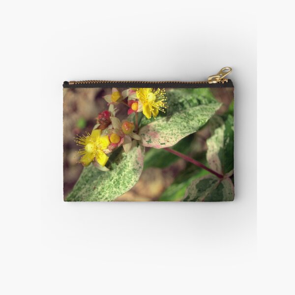 Item preview, St.Johns Wort designed and sold by William Lighterness.