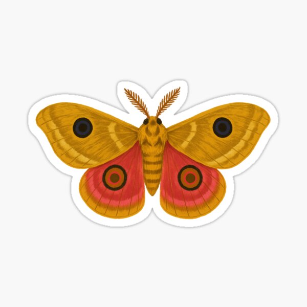 Patagonia Eyed Silkmoth Sticker – Colorful Moth Vinyl Sticker, Nature-Inspired Insect Art, Butterfly & Moth Aesthetic, Entomology Gift Sticker