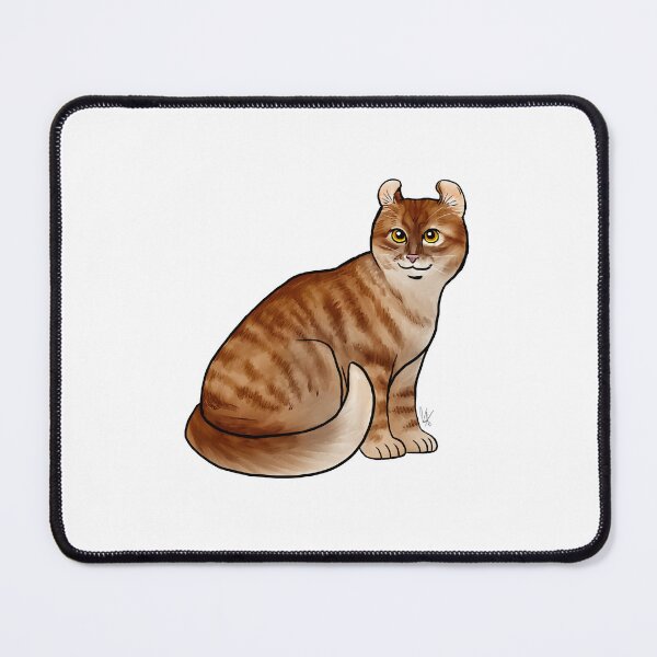 Item preview, Cat - American Curl - Shorthair Orange Tabby designed and sold by Jennifer Stolzer.