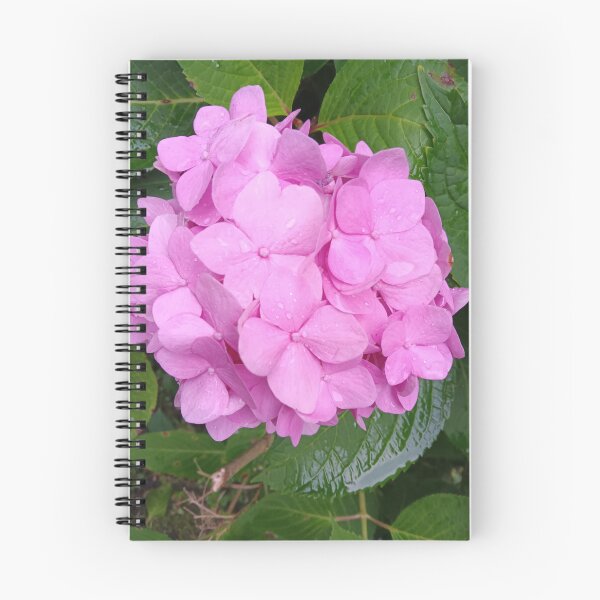 Item preview, Pink hydrangea  designed and sold by Tiffcreations12.