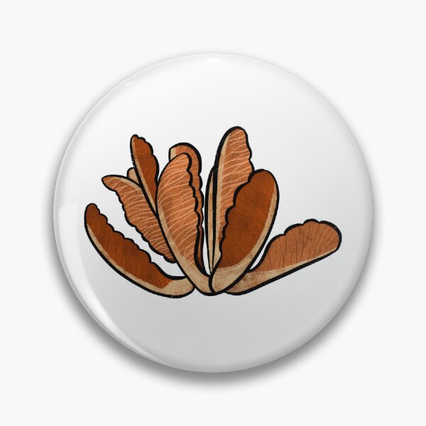 Item preview, Seed pod designed and sold by kidshay.