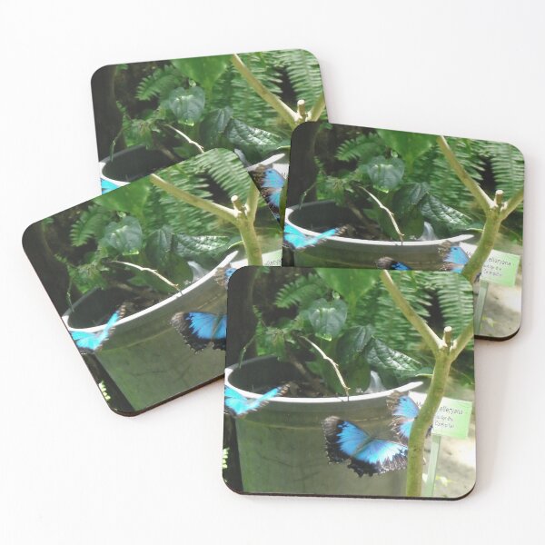 Item preview, Ulysses designed and sold by Kymbo.