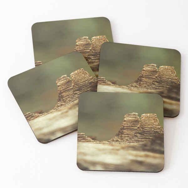 Item preview, Fallen Tree designed and sold by robdwildlife.