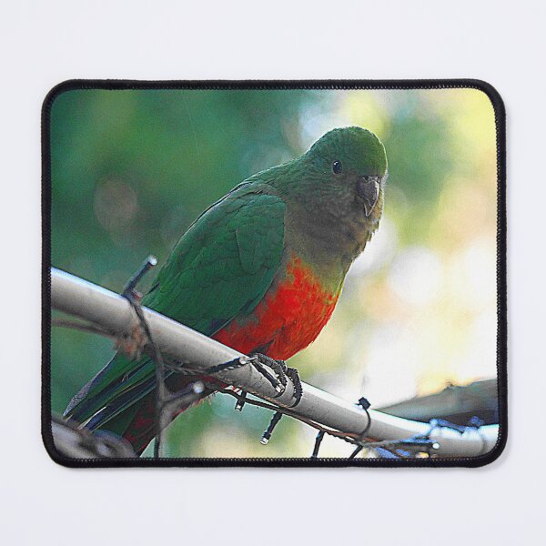Item preview, Looking for a nest designed and sold by Larry Davis.