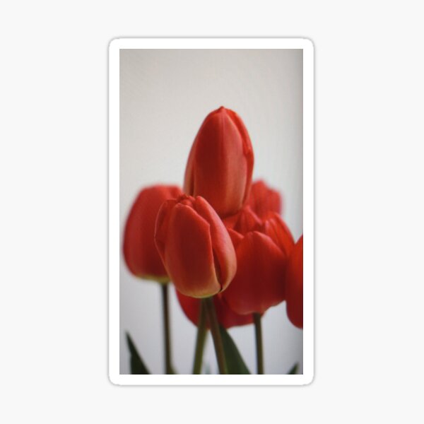 Item preview, K- red and green flower  designed and sold by KFoodcourt.