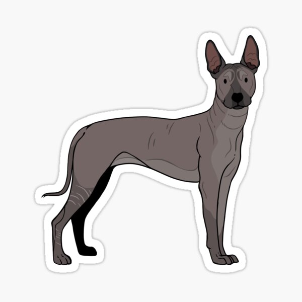Item preview, Xoloitzcuintli designed and sold by Delirious Artz.