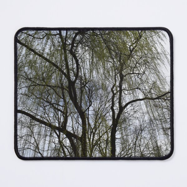 Item preview, Whispers of the Weeping Willow designed and sold by Yolanda Caporn Art.