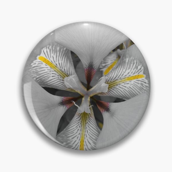 Item preview, Isolated Beauty of Algerian Iris designed and sold by Yolanda Caporn Art.
