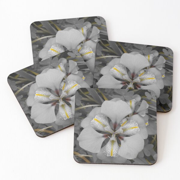 Item preview, Isolated Beauty of Algerian Iris designed and sold by Yolanda Caporn Art.