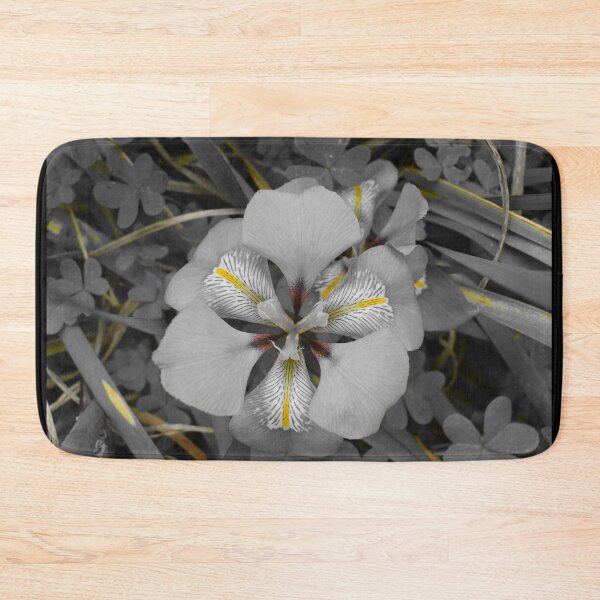 Item preview, Isolated Beauty of Algerian Iris designed and sold by Yolanda Caporn Art.