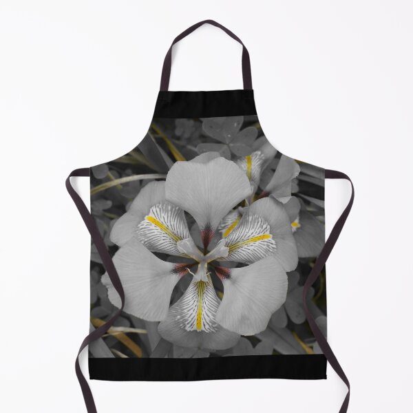 Item preview, Isolated Beauty of Algerian Iris designed and sold by Yolanda Caporn Art.