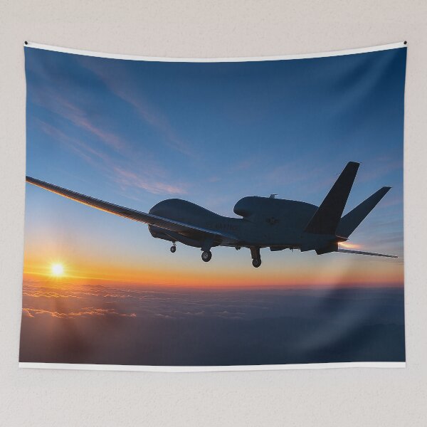 Item preview, RQ-4 Global Hawk at Sunrise Altitude designed and sold by Skyframe Aviation.