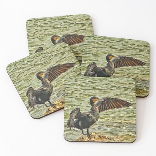 Item preview, Great Cormorant Perched on Rock | Bold Aquatic Bird Photography designed and sold by WingsOfWonders.