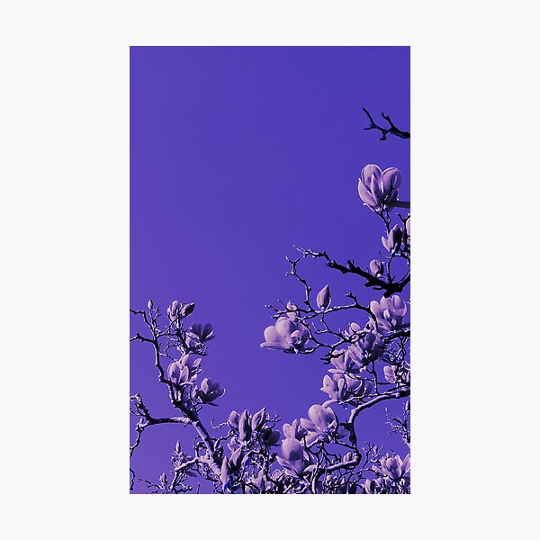 Exclusive cover art from Wild Valley Falling Stars Photographic Print