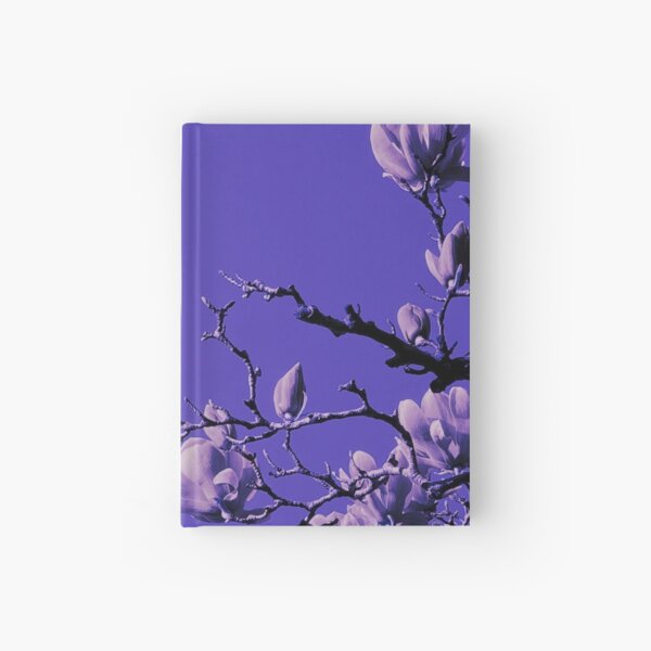 Exclusive cover art from Wild Valley Falling Stars Hardcover Journal