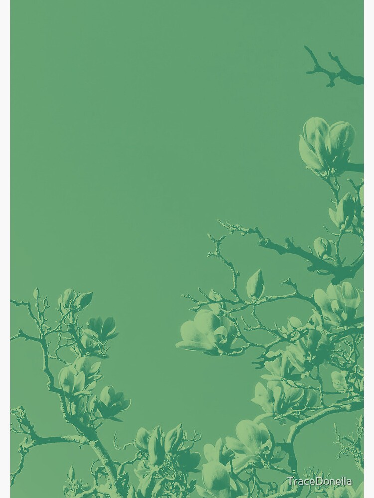 Thumbnail 3 of 3, Journal, Exclusive cover art from Wild Valley Falling Stars designed and sold by TraceDonella.