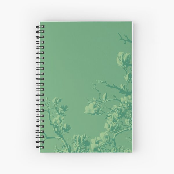 Exclusive cover art from Wild Valley Falling Stars Spiral Notebook