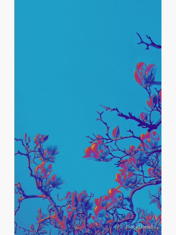 Thumbnail 2 of 2, Greeting Card, Exclusive cover art from Wild Valley Falling Stars designed and sold by TraceDonella.