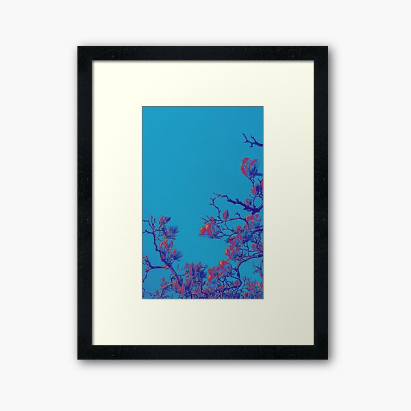 Exclusive cover art from Wild Valley Falling Stars Framed Art Print