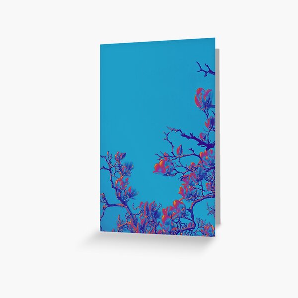 Exclusive cover art from Wild Valley Falling Stars Greeting Card