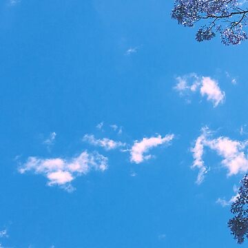 Artwork thumbnail, Exclusive cover art from When Clouds Meet Sky by Trace Donella