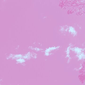 Artwork thumbnail, Exclusive cover art from When Clouds Meet Sky by Trace Donella