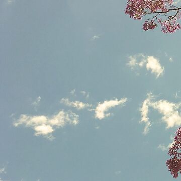 Artwork thumbnail, Exclusive cover art from When Clouds Meet Sky by Trace Donella