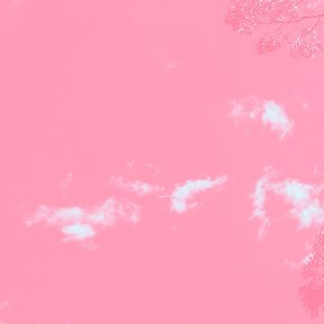 Artwork thumbnail, Exclusive cover art from When Clouds Meet Sky by Trace Donella