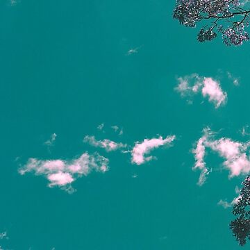 Artwork thumbnail, Exclusive cover art from When Clouds Meet Sky by Trace Donella