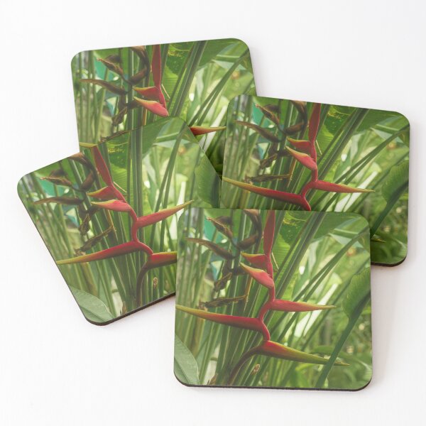 Item preview, Heliconia bihai designed and sold by Rowena Ko.