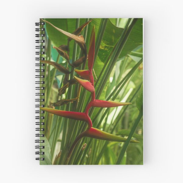 Item preview, Heliconia bihai designed and sold by Rowena Ko.