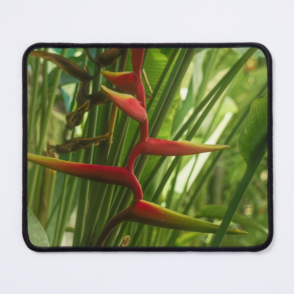 Item preview, Heliconia bihai designed and sold by Rowena Ko.