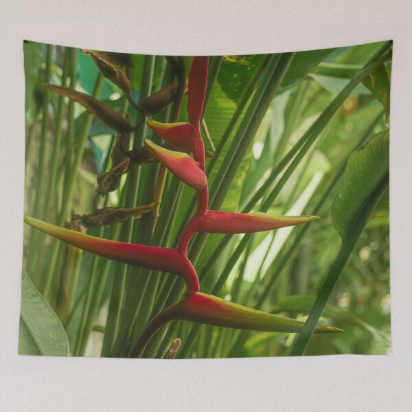 Item preview, Heliconia bihai designed and sold by Rowena Ko.