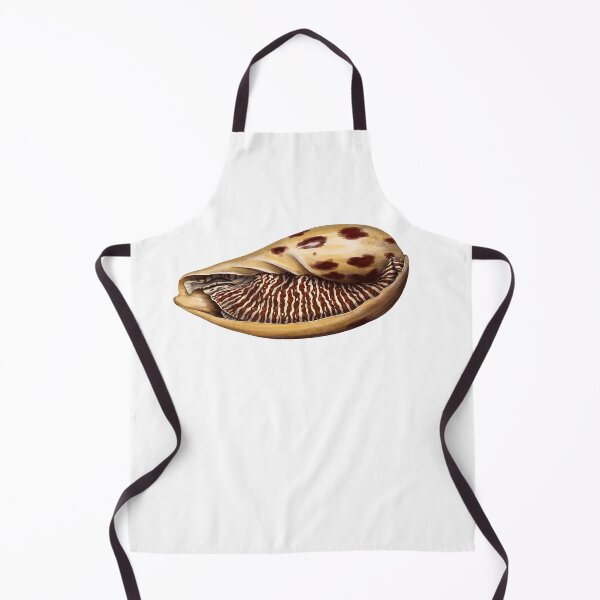 Item preview, Melo Melo Sea Snail - Bailer Shell  designed and sold by TasiaZenzura.