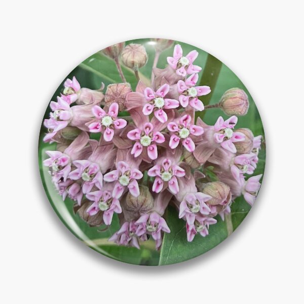 Item preview, Milkweed  designed and sold by Amanda1775.