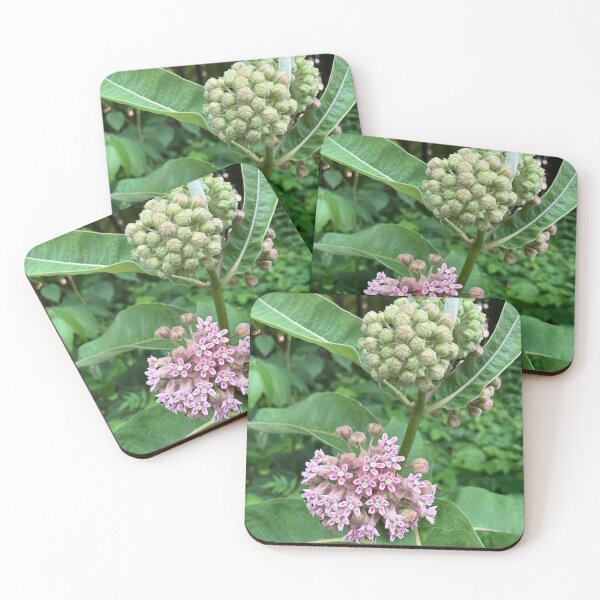 Item preview, Milkweed  designed and sold by Amanda1775.
