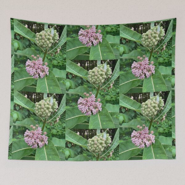 Item preview, Milkweed  designed and sold by Amanda1775.