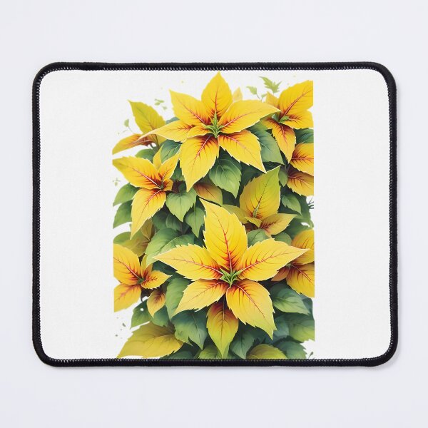 Item preview, Yellow Coleus designed and sold by HOMETOWN86.