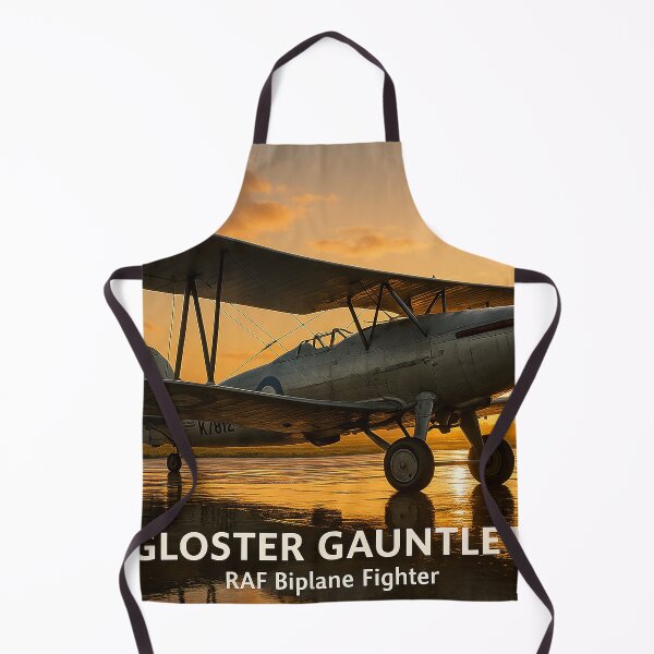 Item preview, Gloster Gauntlet designed and sold by Skyframe Aviation.